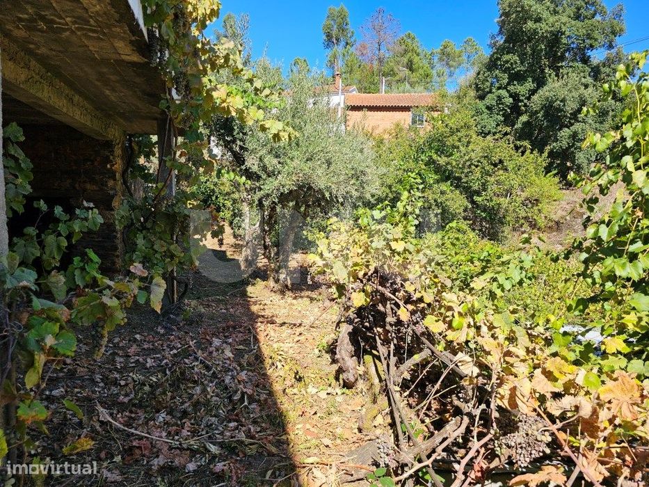 Moradia T3 Térrea com Garagem, Terraço e Logradouro