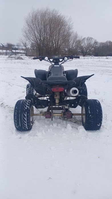Квадроцкл шенрей 250