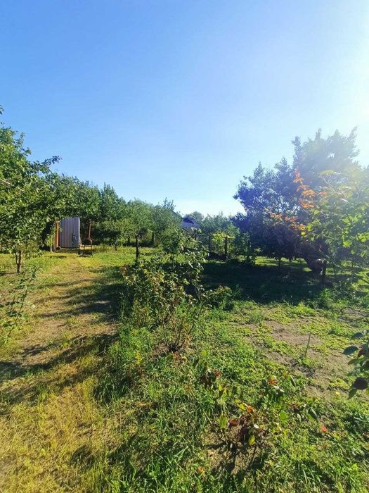 Продажа дачі в СТ Славутич с.Коробівка