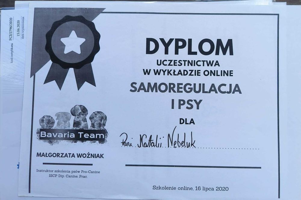 Behawiorysta psów, szkolenie psów