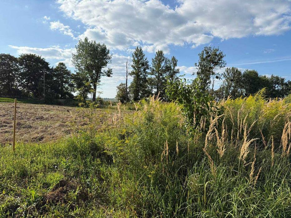 земельна ділянка 10 сот. ОЖБ с. Малі Підліски