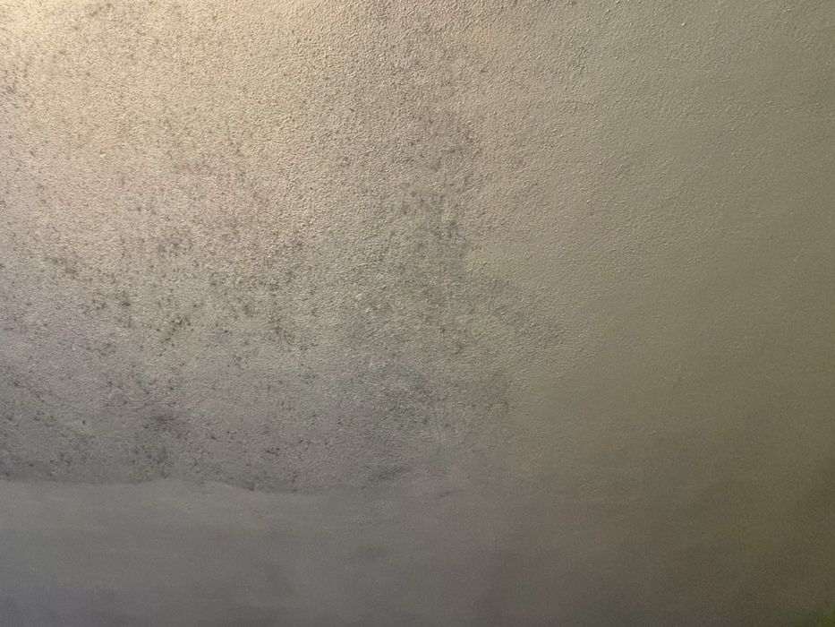 Brilho e cuidado – A sua casa como nova!