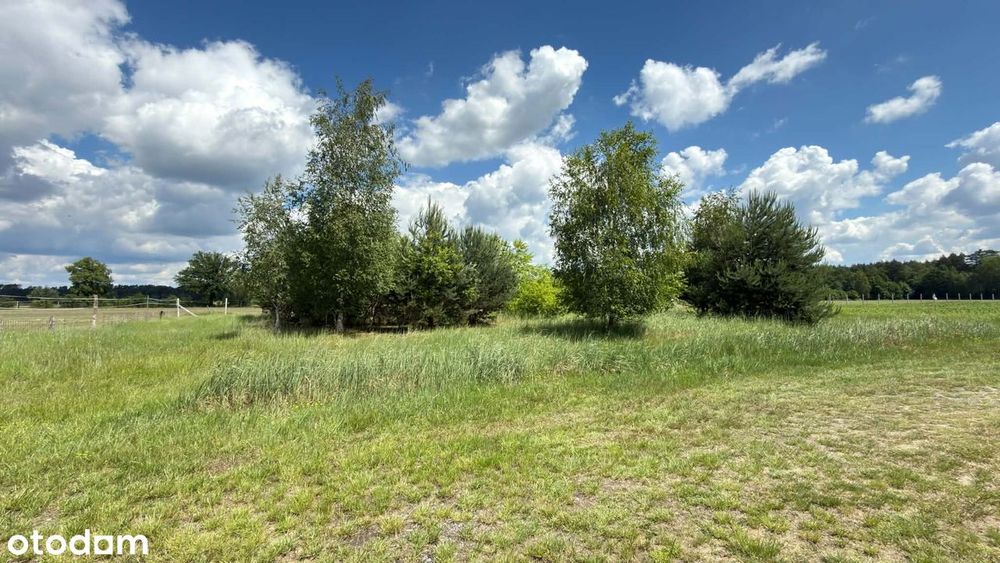 Działka budowlana ok. 25,5 ara – Rzędów, blisko lasu - Widok 2