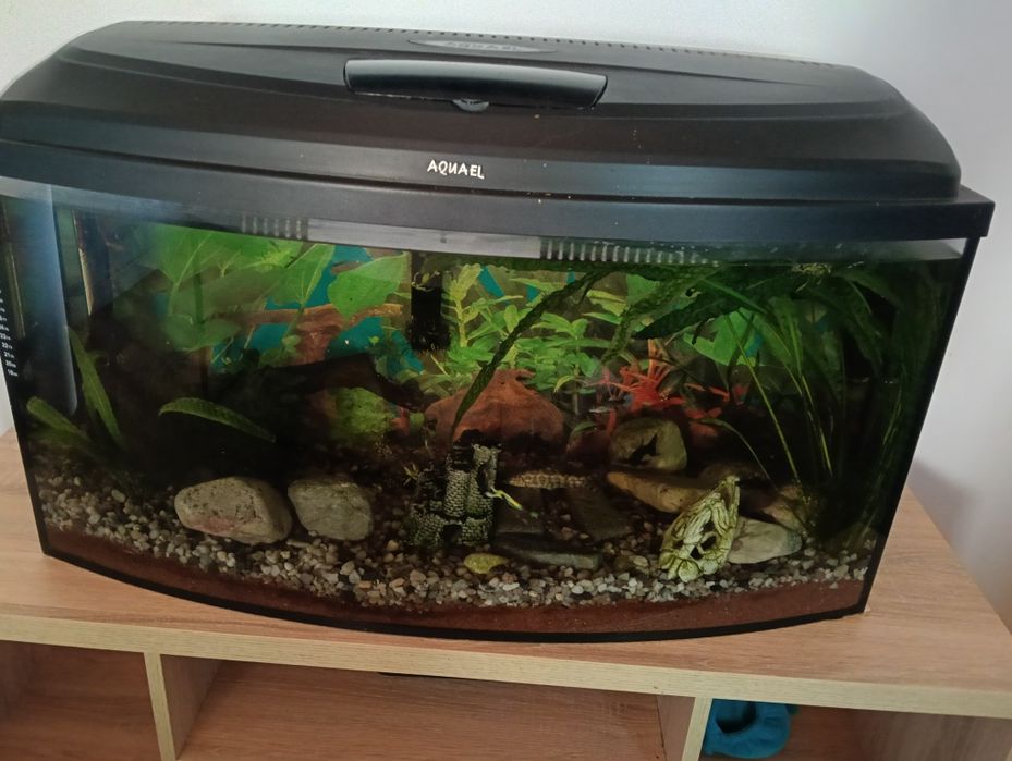 Akwarium 115 litrów