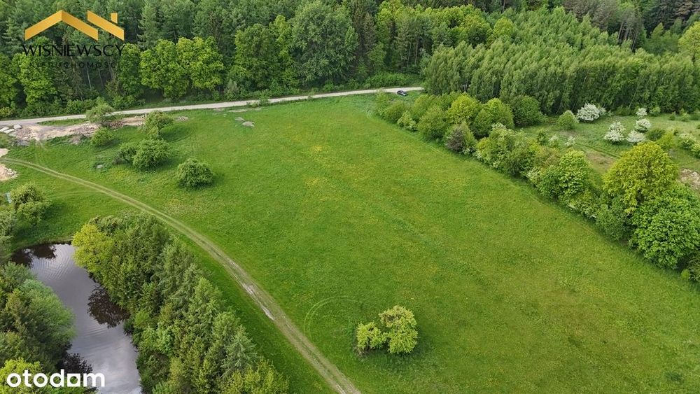 Działka z pozwoleniem na budowę, 3184 m², Jagodnik - View 6
