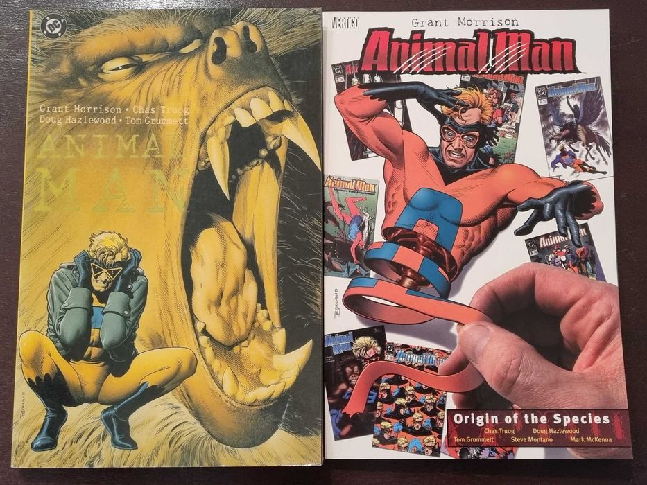 DC Comics (Green Lantern Corps, JLA, Animal Man, JSA, Darkseid War)