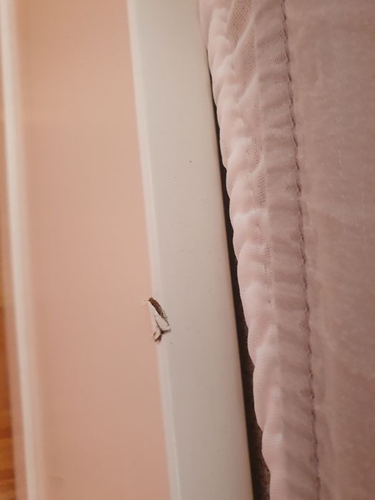 Cama ikea + Colchão Molaflex