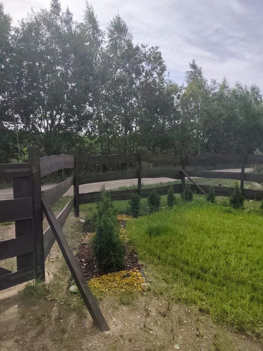 Działka, zagajnik na Mazurach