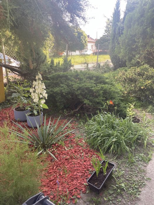 Nieruchomość na sprzedaż z dużym potencjałem, zdrowe mury bez wilgoci