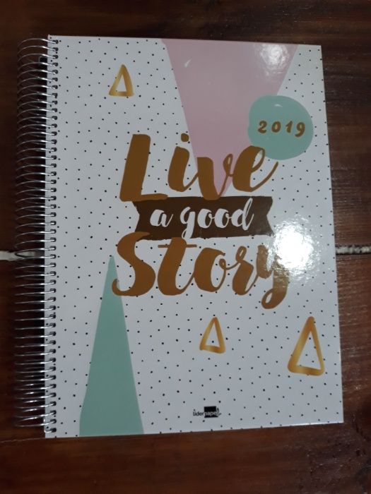 Agenda diária 2019 argolas A4