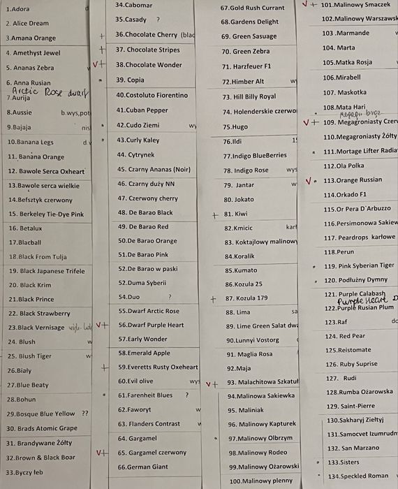 Zestaw dla Pani Celiny nasiona pomidorów kolekcjonerskie