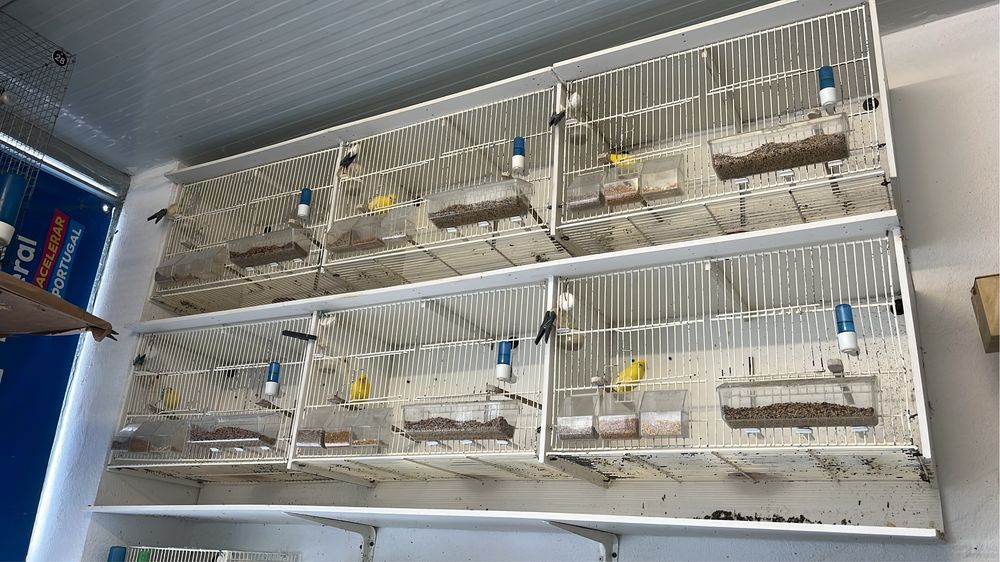 Viveiros gaiolas em PVC 15 Buracos