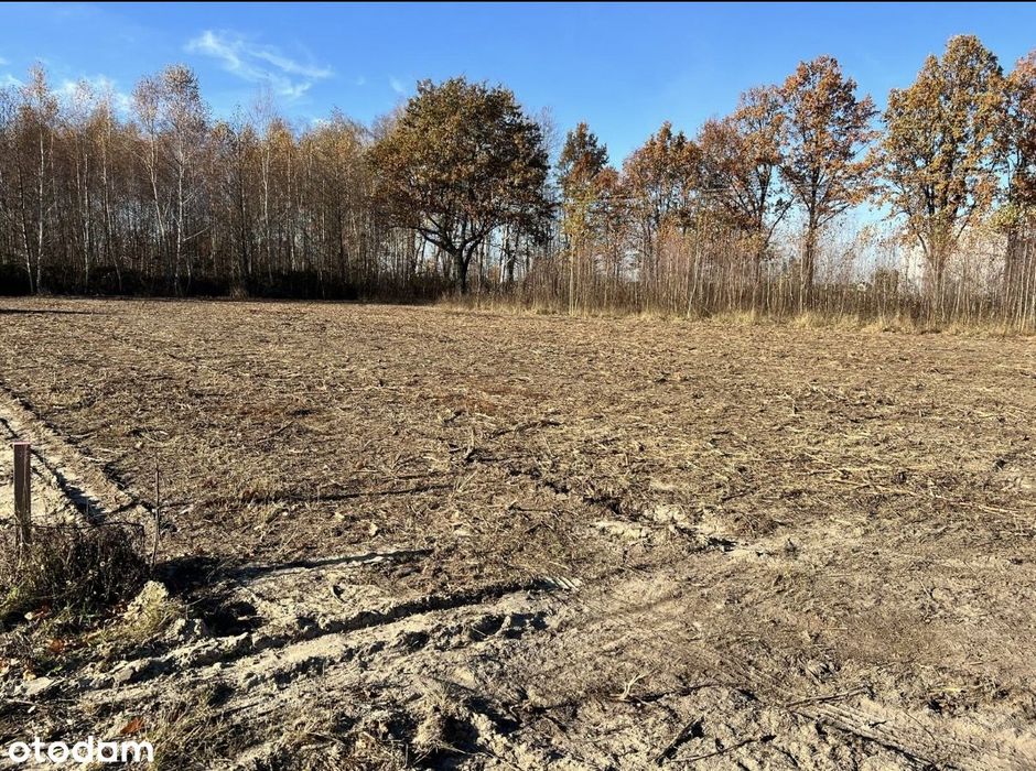 Działka 2298 m² | Łazy, gm. Kampinos | Otulina Puszczy Kampinoskiej