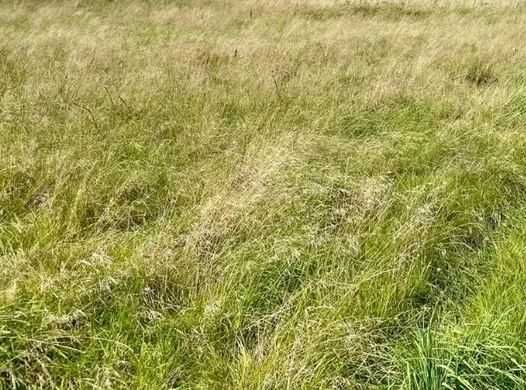 Działka budowlana Rusinowo nad morzem przy lesie