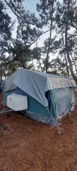Autotenda saurium