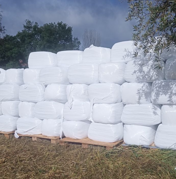 Feno para feira  do cavalo FNC