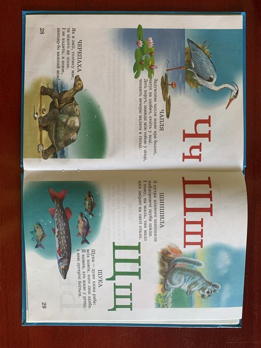 Дитяча книга «Абетка + Лічба» (розвиваюча, з яскравими малюнками)