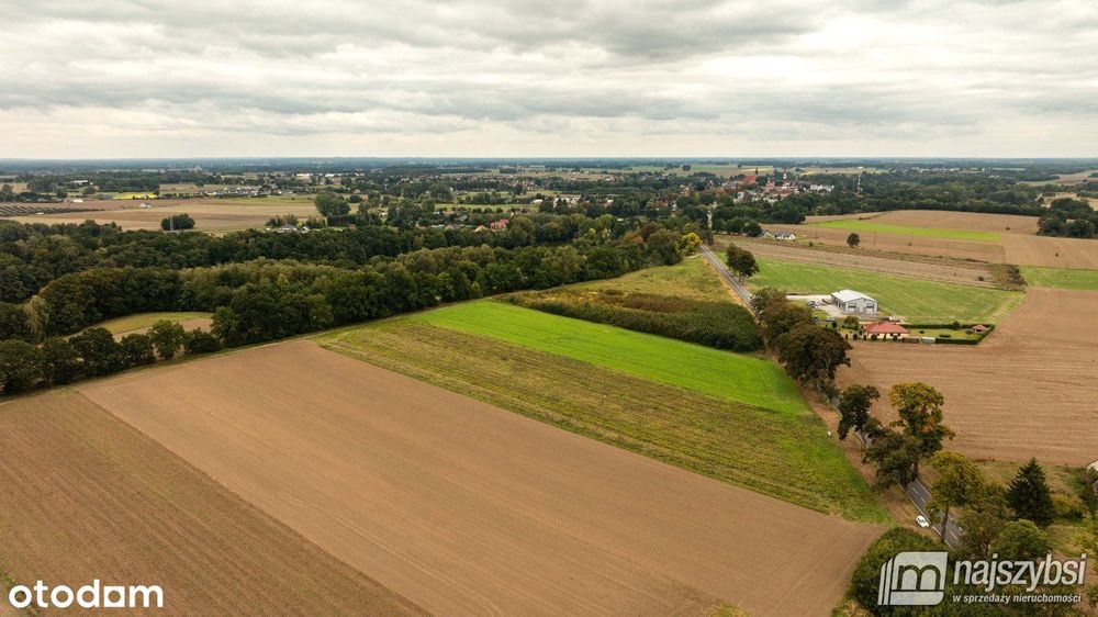 Maszewo-Wisławie - działka rolno-budowlana 748 m² - Widok 5