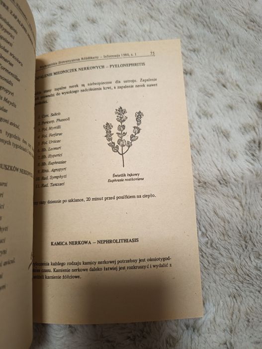 Moje widzenie świata Powrót do ziół