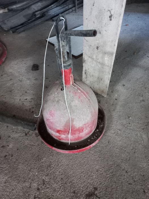 Bebedouro suspensão galinhas