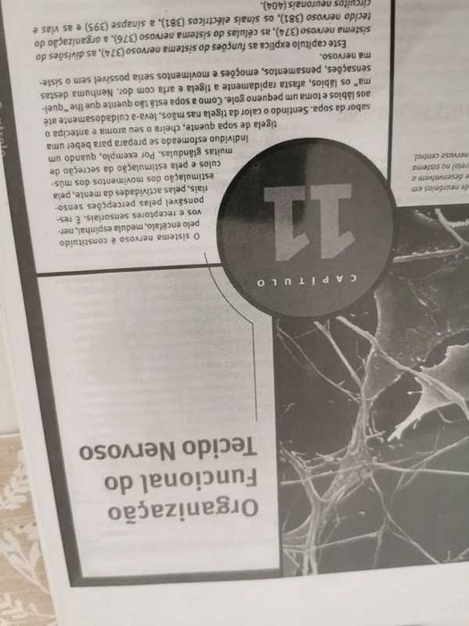 Cadernos de apoio à Fac de Desporto