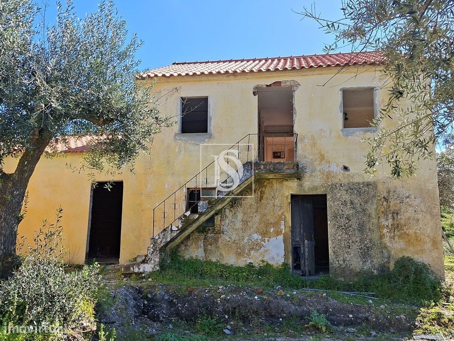 Quintinha no Alentejo com 4.000 m² junto à Ribeira – Excelente potenci