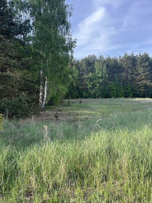 Działka Budowlana Łośno
