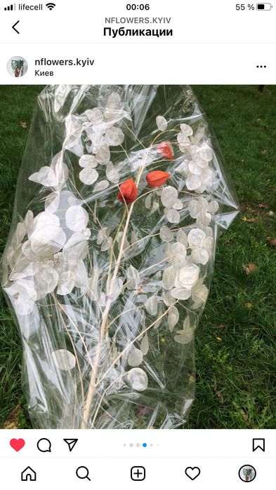 Семена растения лунник лунария монетное дерево 9г