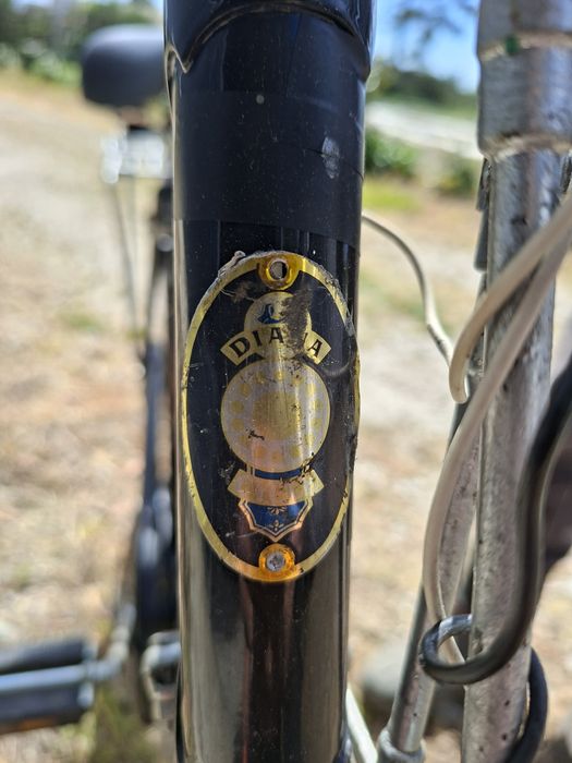 Bicicleta Pasteleira Diana Ye-Ye