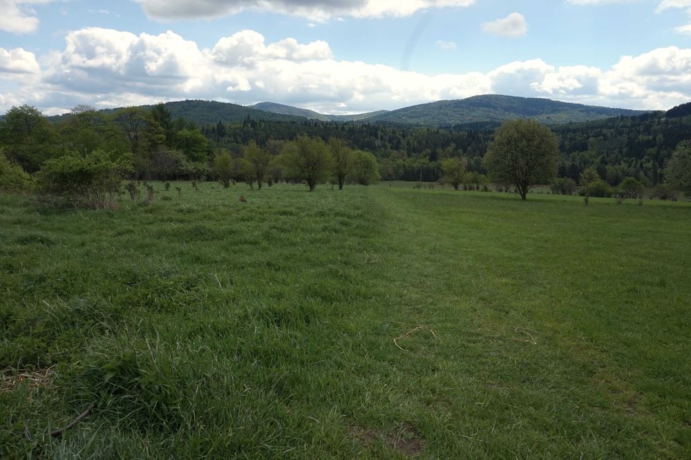 Widokowa działka budowlana - Hucisko (Stryszawa, pow. Suski) 10.11 ar - Widok 3