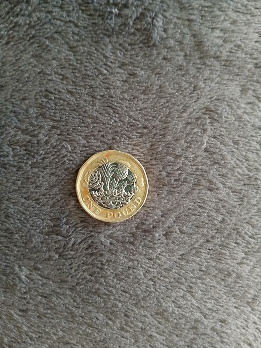 1 Pound Coin | 2017 Elizabeth II