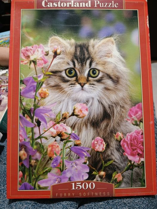 Пазли картонні б/у