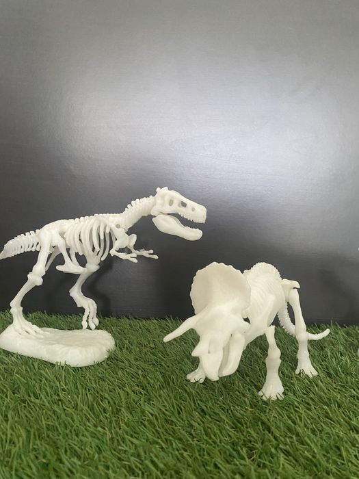 Dinosaur Skeletons64740282593409121