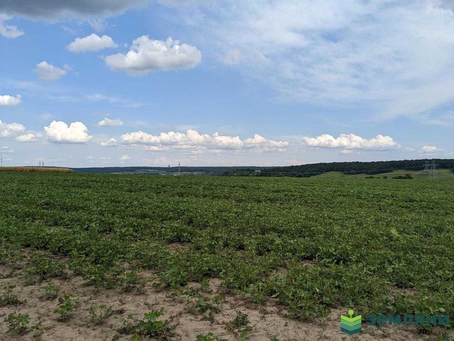 Земля 13 соток в с.Колодіївка,урочище "Нива" під будівництво (5)