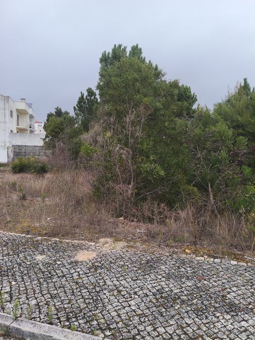 Podas, Jardinagem, Silvicultura e limpezas