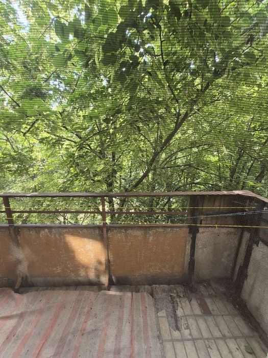 Здам 1 кімнатну квартиру, Тополь