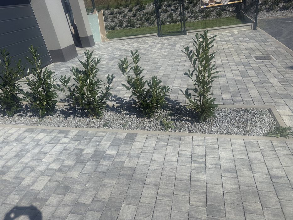 Usługi brukarskie- ogrodnicze