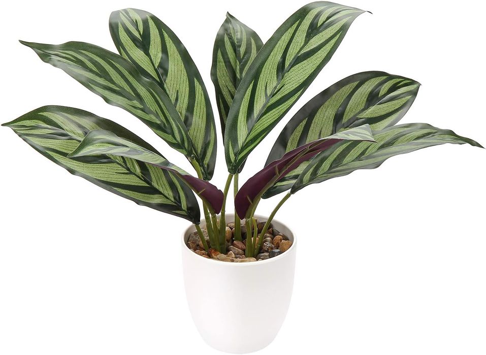 Sztuczny kwiat doniczkowy calathea 33cm