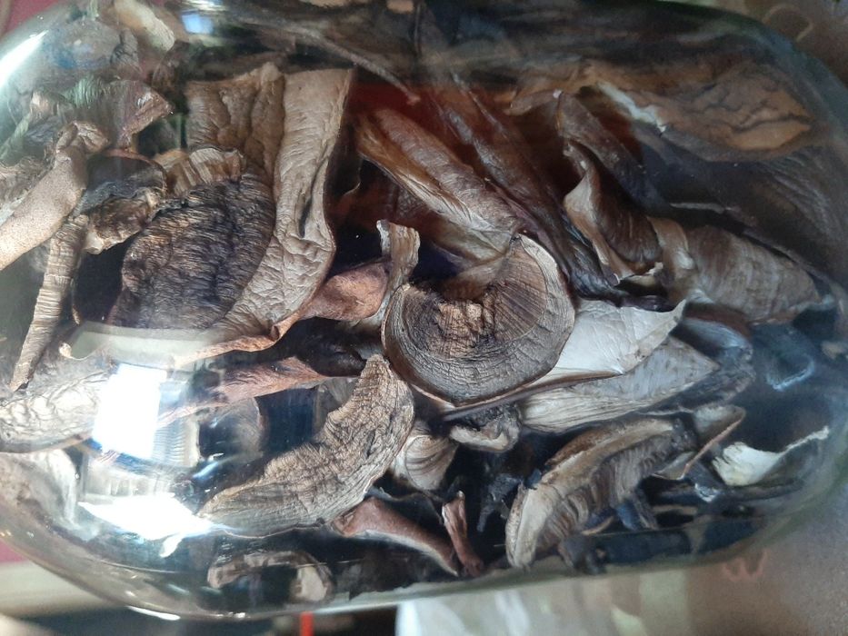 Грибы сушеные подберёзовик топольовий подосиновик без песка Закарпатье