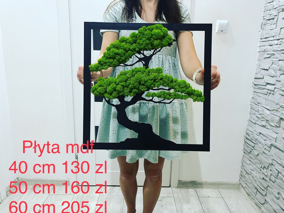Onraz mech chrobotek 50 cm