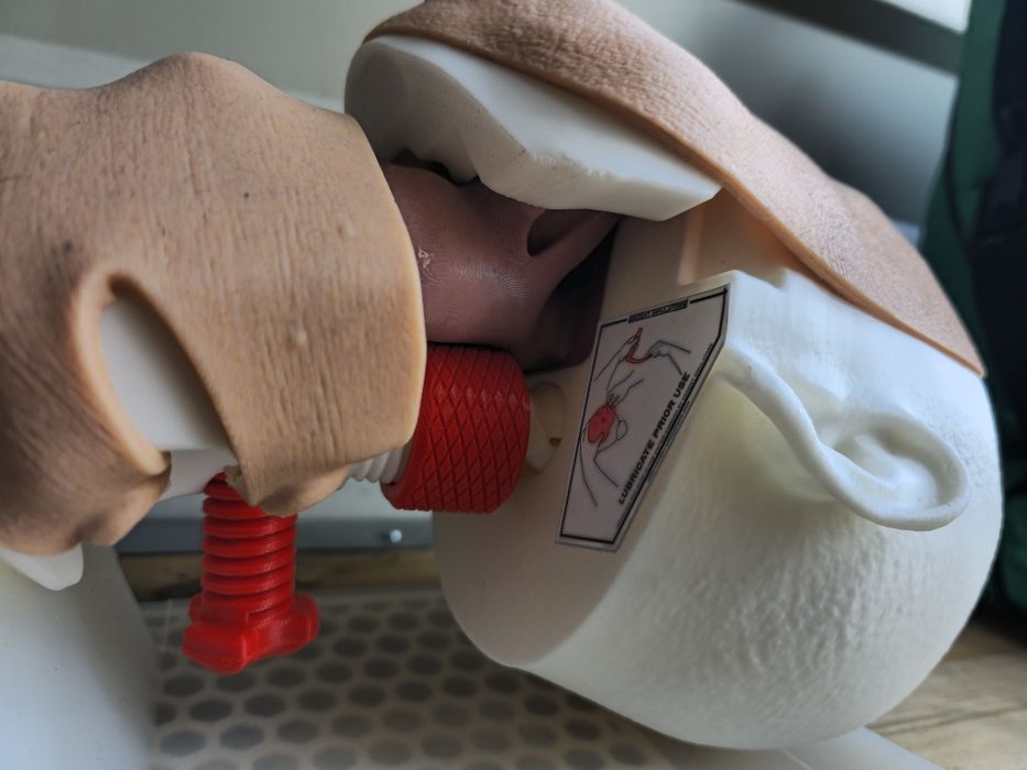 SIMEDU trenażer fantom do nauki intubacji dotchawiczej z zębami