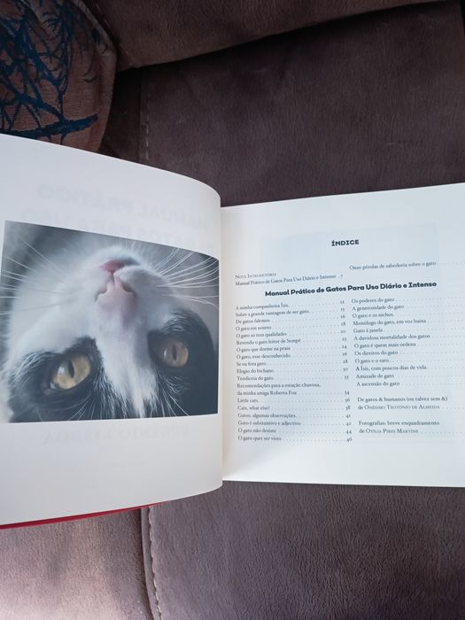 Manual Prático de gatos para uso diário e intenso - Eugénio Lisboa