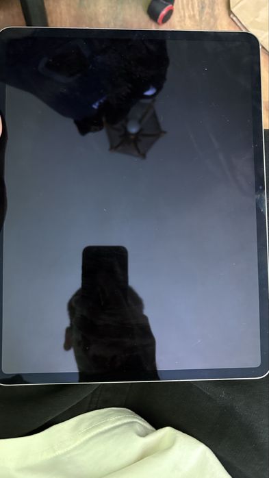 iPad Air 13 M4 256Gb Wifi+Celluar 5G