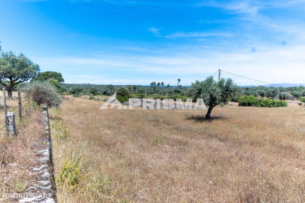 Herdade para Venda em Castelo Branco