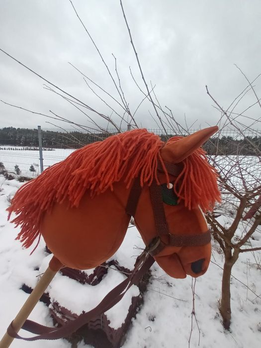 Hobby horse nowy