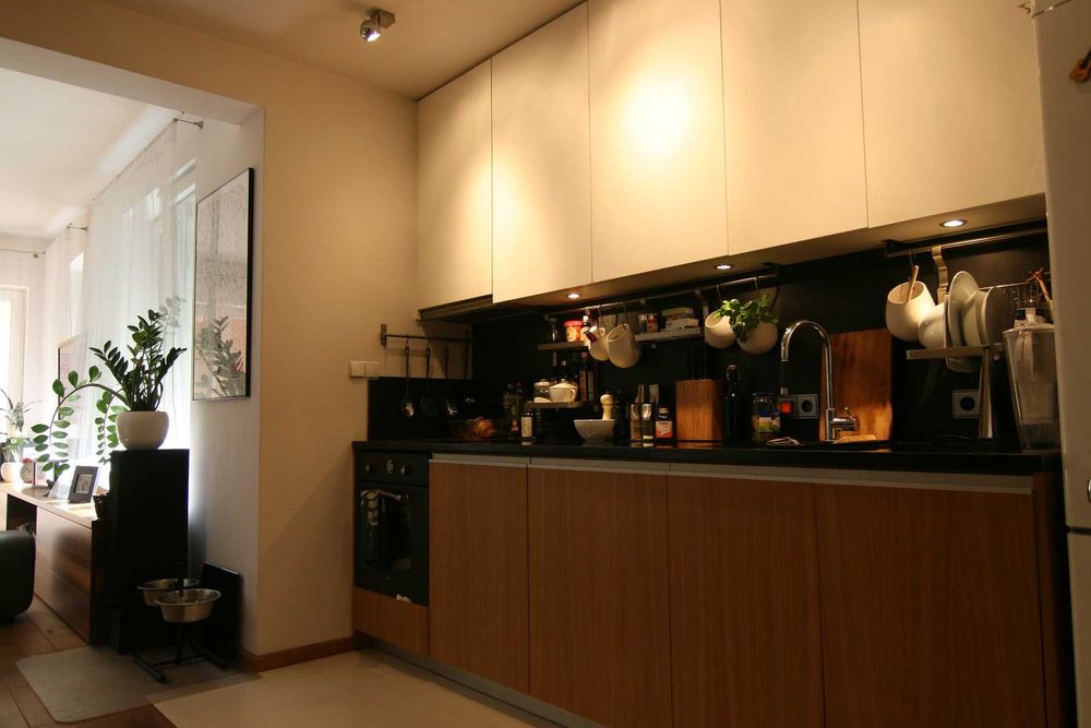 Studio 55 m2 z ogródkiem