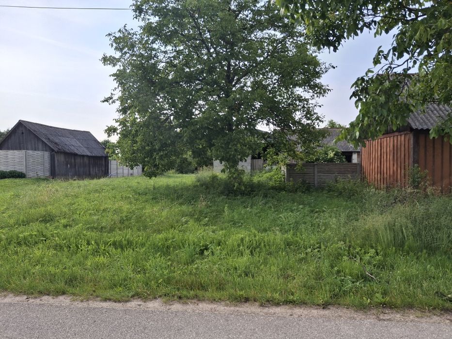 Zdjęcie 3
