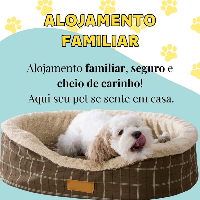 Serviço de Pet Sitter, Hotel para Cães, Cuidado de Animais em Coimbra