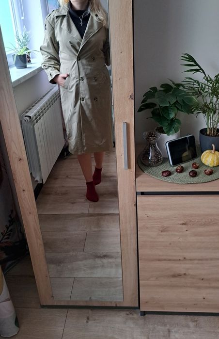 Plaszczyk  M oiwkowy