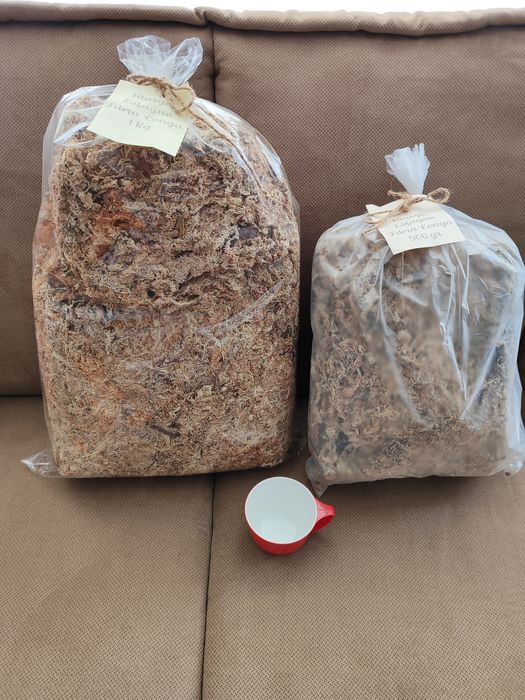 Orquídeas Musgo Esfagno Desidratado 1 Kg